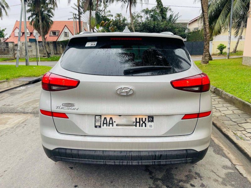 photo_5_2025-02-04_19-35-44